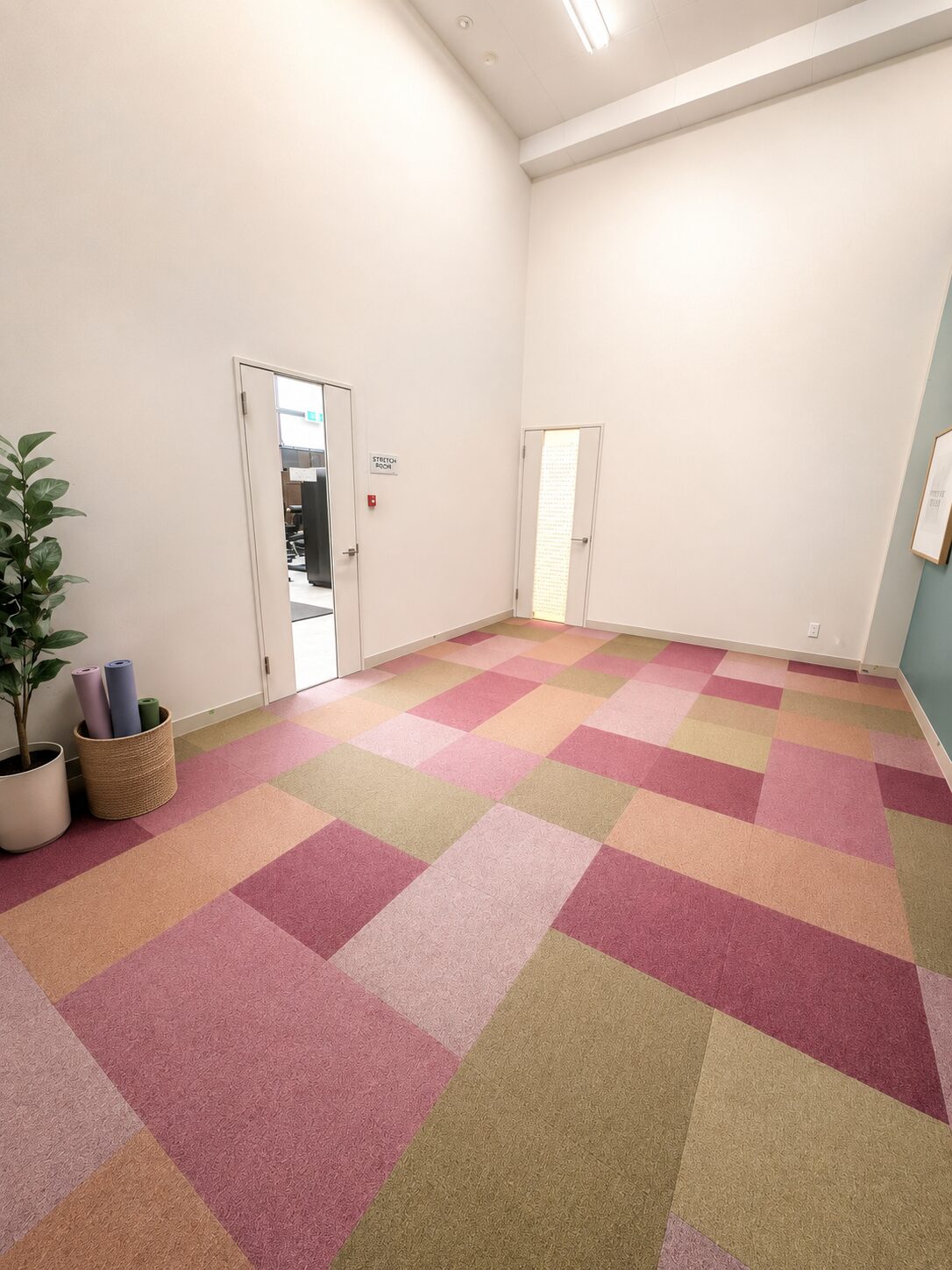 ストレッチエリア